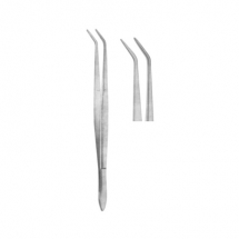 Dental Tweezers